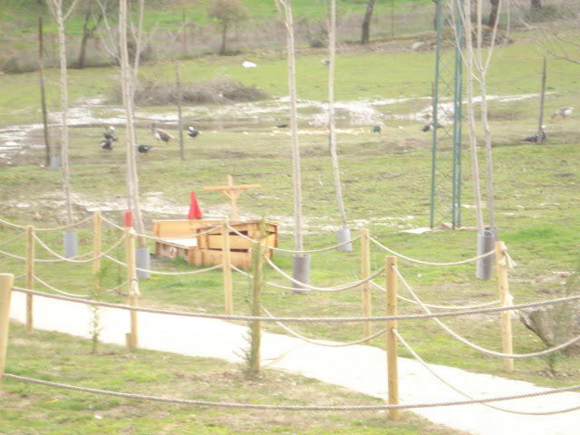 Complejo Rural El Prado Hotel Logrosán Esterno foto